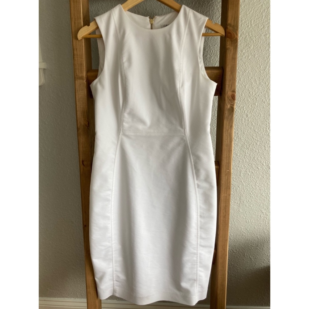 Calvin Klein Women's Sleeveless Princess Seamed Sheath Dress